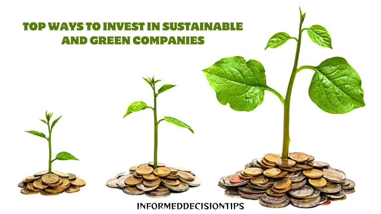 The Top Ways to Invest in Sustainable and Green Companies